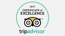 TripAdvisor